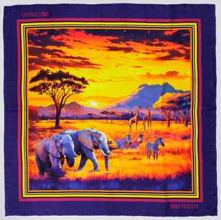 African Horizon Silk Twill 90